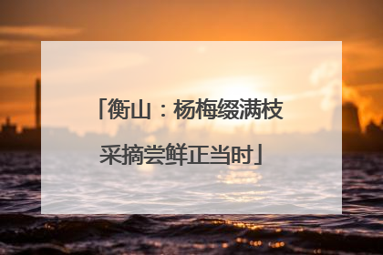 衡山：杨梅缀满枝 采摘尝鲜正当时