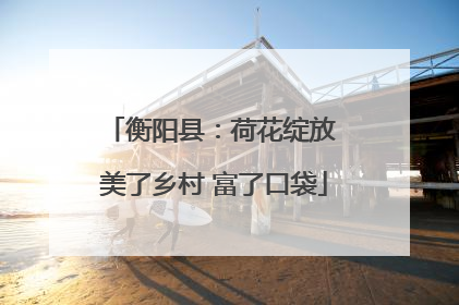 衡阳县：荷花绽放 美了乡村 富了口袋