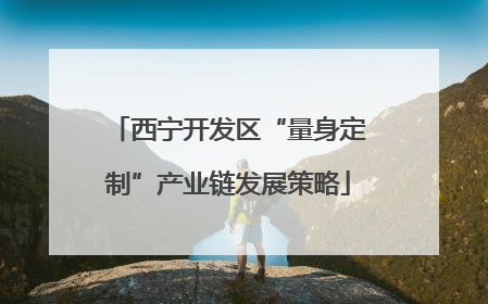 西宁开发区“量身定制”产业链发展策略