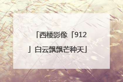 西楼影像「912」白云飘飘芒种天