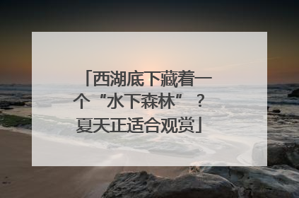 西湖底下藏着一个“水下森林”？夏天正适合观赏