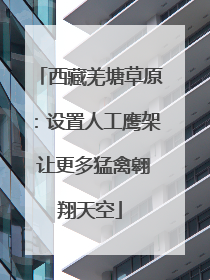 西藏羌塘草原：设置人工鹰架 让更多猛禽翱翔天空
