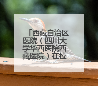 西藏自治区医院（四川大学华西医院西藏医院）在拉萨开诊