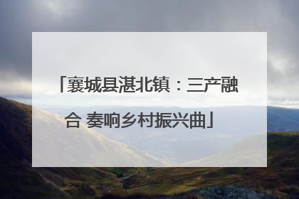襄城县湛北镇：三产融合 奏响乡村振兴曲