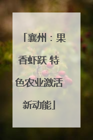 襄州：果香虾跃 特色农业激活新动能