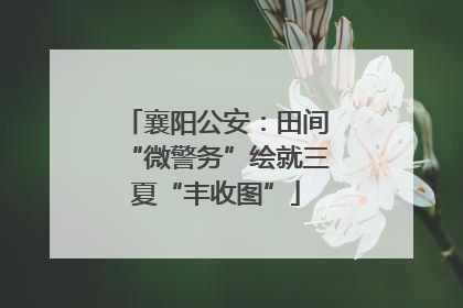 襄阳公安：田间“微警务”绘就三夏“丰收图”