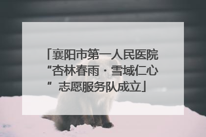 襄阳市第一人民医院“杏林春雨・雪域仁心”志愿服务队成立