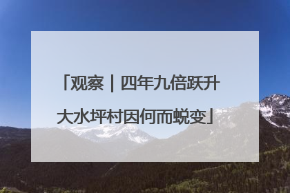 观察｜四年九倍跃升 大水坪村因何而蜕变