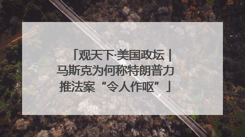 观天下·美国政坛｜马斯克为何称特朗普力推法案“令人作呕”