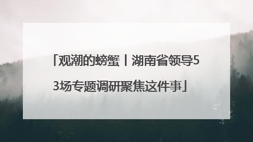 观潮的螃蟹丨湖南省领导53场专题调研聚焦这件事