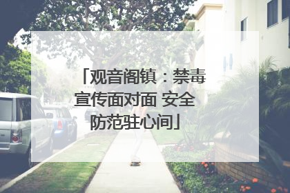 观音阁镇：禁毒宣传面对面 安全防范驻心间