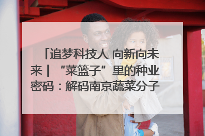 追梦科技人 向新向未来｜“菜篮子”里的种业密码：解码南京蔬菜分子育种的创新之路