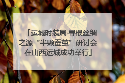 运城时装周·寻根丝绸之源“半颗蚕茧”研讨会在山西运城成功举行