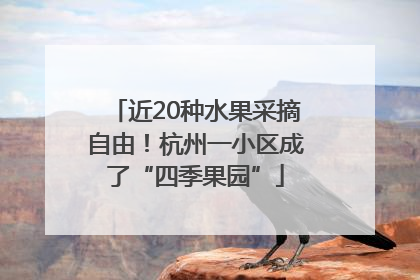 近20种水果采摘自由！杭州一小区成了“四季果园”