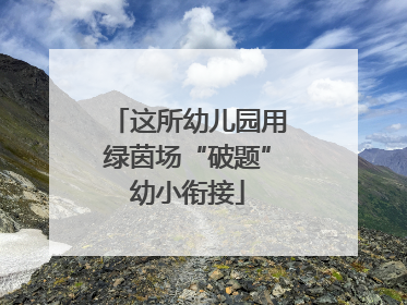 这所幼儿园用绿茵场“破题”幼小衔接