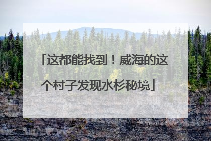 这都能找到！威海的这个村子发现水杉秘境
