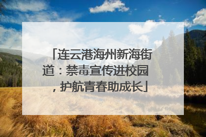 连云港海州新海街道：禁毒宣传进校园，护航青春助成长