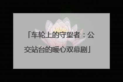 车轮上的守望者：公交站台的暖心双幕剧