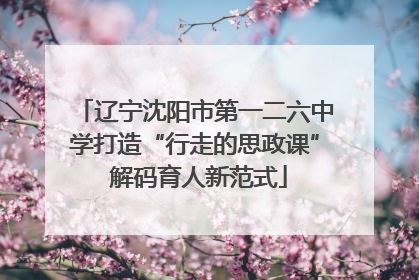 辽宁沈阳市第一二六中学打造“行走的思政课” 解码育人新范式