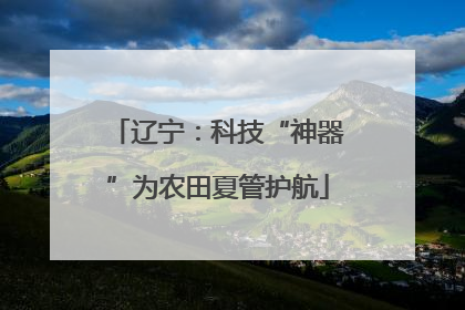 辽宁：科技“神器”为农田夏管护航