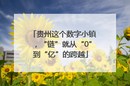 贵州这个数字小镇，“链”就从“0”到“亿”的跨越