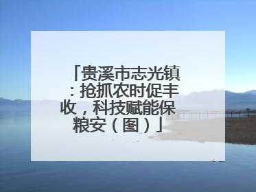 贵溪市志光镇：抢抓农时促丰收，科技赋能保粮安（图）