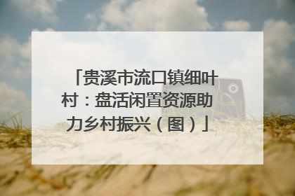 贵溪市流口镇细叶村：盘活闲置资源助力乡村振兴（图）