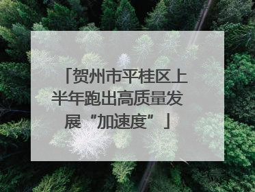 贺州市平桂区上半年跑出高质量发展“加速度”