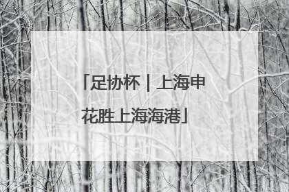 足协杯｜上海申花胜上海海港