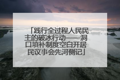 践行全过程人民民主的破冰行动——洞口填补制度空白开居民议事会先河侧记