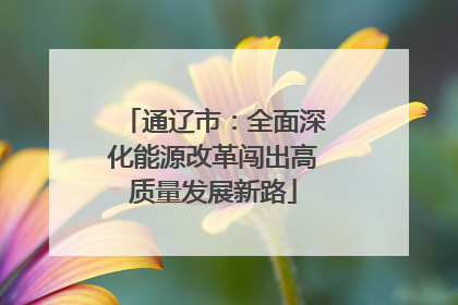 通辽市：全面深化能源改革闯出高质量发展新路