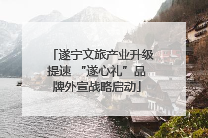 遂宁文旅产业升级提速 “遂心礼”品牌外宣战略启动