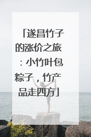 遂昌竹子的涨价之旅：小竹叶包粽子，竹产品走四方