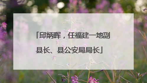 邱炳晖，任福建一地副县长、县公安局局长