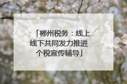 郴州税务：线上线下共同发力推进个税宣传辅导