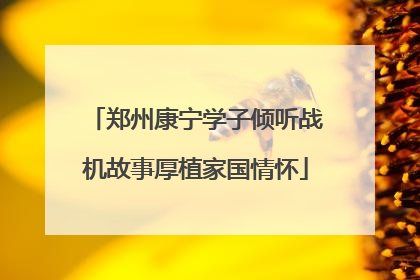 郑州康宁学子倾听战机故事厚植家国情怀