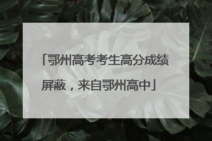 鄂州高考考生高分成绩屏蔽，来自鄂州高中