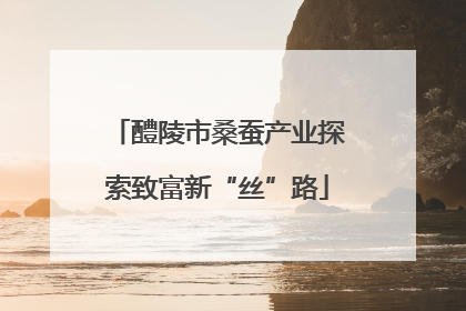 醴陵市桑蚕产业探索致富新“丝”路