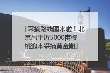 采摘路线图来啦！北京昌平近5000亩樱桃迎来采摘黄金期