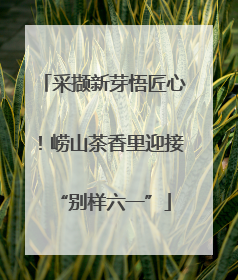 采撷新芽悟匠心！崂山茶香里迎接“别样六一”