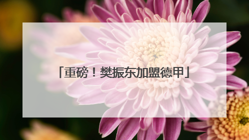 重磅！樊振东加盟德甲