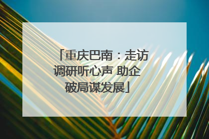 重庆巴南：走访调研听心声 助企破局谋发展