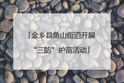 金乡县鱼山街道开展“三防”护苗活动