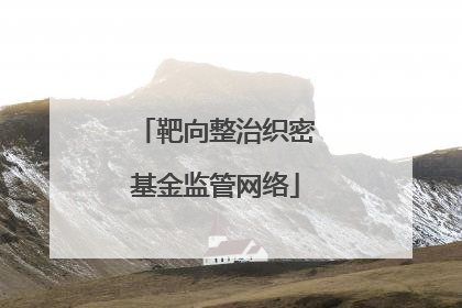 靶向整治织密基金监管网络