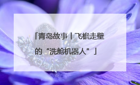 青岛故事丨飞檐走壁的“洗舱机器人”