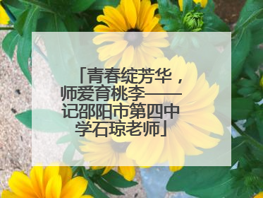 青春绽芳华，师爱育桃李——记邵阳市第四中学石琼老师