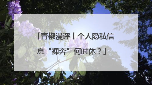 青椒漫评丨个人隐私信息“裸奔”何时休？