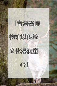 青海省博物馆以传统文化浸润童心