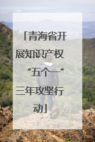 青海省开展知识产权“五个一”三年攻坚行动
