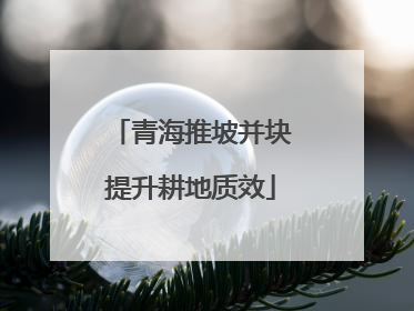 青海推坡并块提升耕地质效